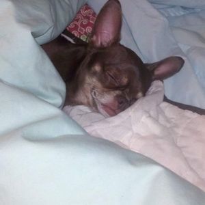 Bundle for @mmullins373